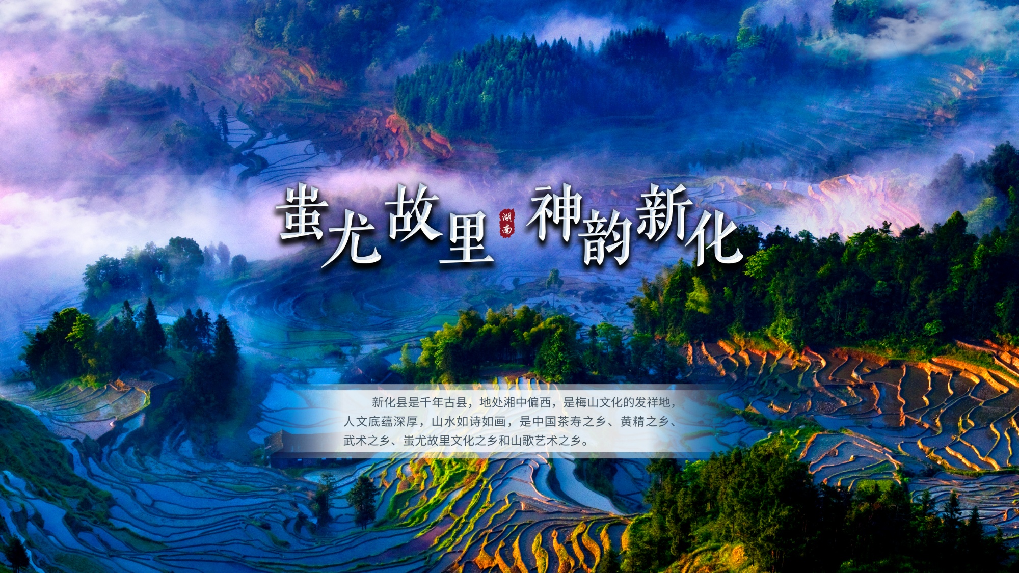 磊子的个人空间